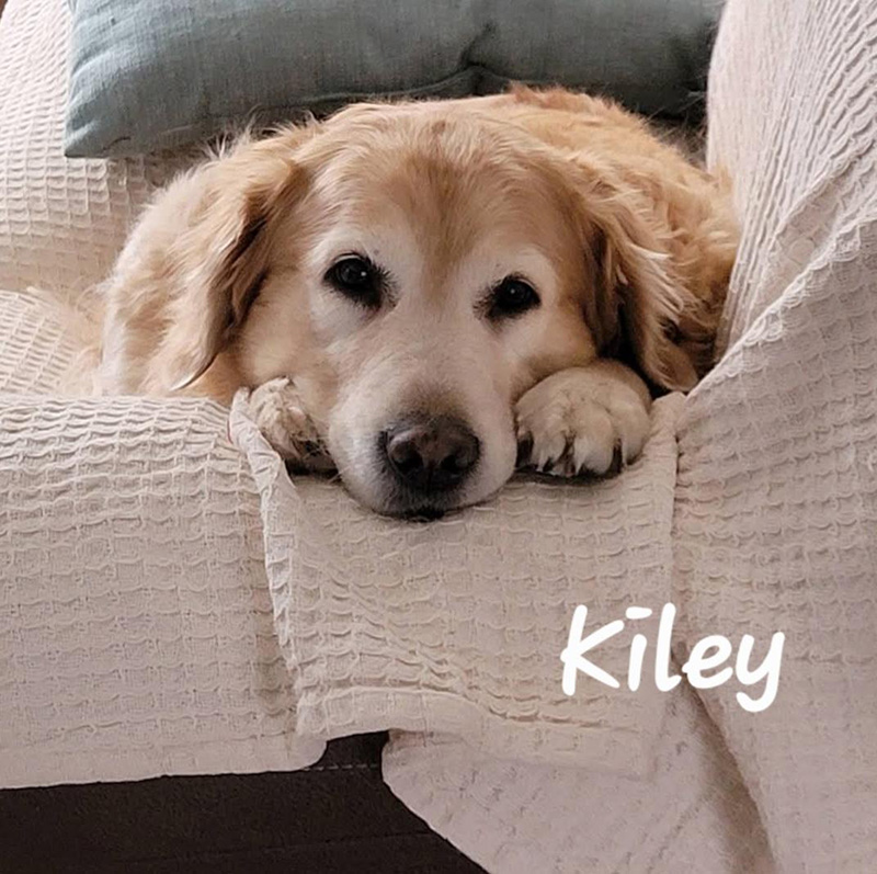 Kiley